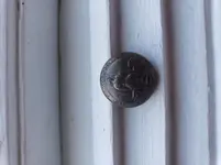 Virginia Button.webp