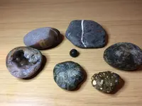 E1773F47-6950-4D6E-BAC4-97FE8C2AE196.webp