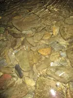 IMG_1891.webp IMG_1891.webp
