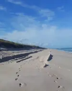 BeachConditionsAndRenourishmentStarted1.webp