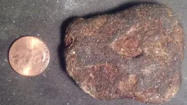 IronConglomerateOrPottery1CentScaleBack.webp