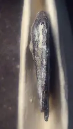 MetalPairFlatEdge4Folded-VNice.webp