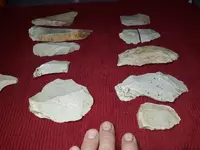 20210120_185259.webp