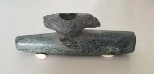 20210109_112847.crow.bird.pipe.artifact.webp