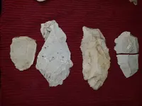 20210120_185245.webp