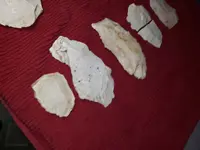 20210120_185027.webp