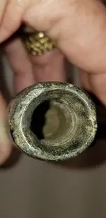 20210109_112612.crow.bird.pipe.artifact.end.webp