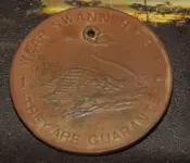 SWANN TOKEN.webp