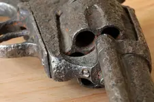 2023COLT1.webp