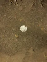 ImageUploadedByTreasureNet.com1614310078.283473.webp