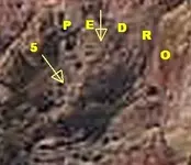 5 PEDRO.webp