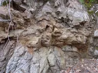 100_0525.webp