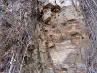 100_0523.webp