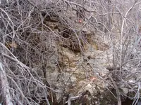 100_0522.webp