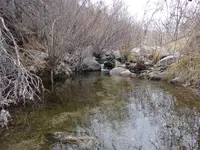 100_0521.webp