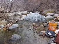 100_0527.webp