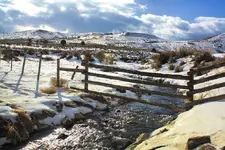 1-21c.webp