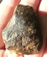 UnifacialSuwanneejpg1.webp