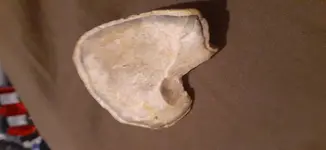 20210109_223518.webp