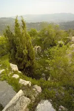 76752559.WoEDpJdc.L1002648 small.webp