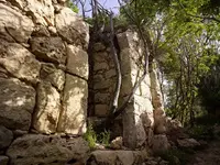 134159753.IHhipQrd.CF000570_1medium small.webp