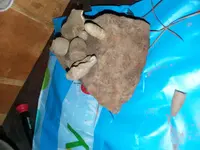 20210216_190917.webp