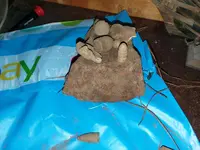 20210216_191440.webp