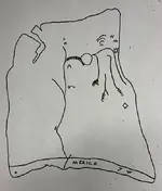 jw map.webp