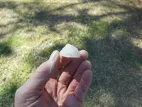 DSCN0060.webp