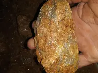 20201217_071508.webp