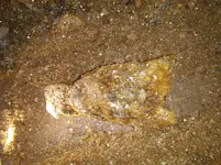 20201217_071436.webp