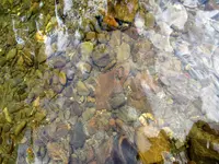 20200722143103_IMG_0321.webp