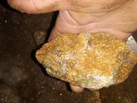 20201217_071514.webp