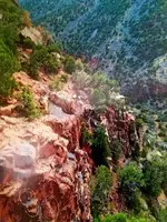 20201219_115203.webp