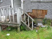 Bear Damage 2.webp