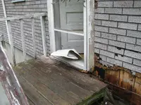 Bear Damage 6.webp