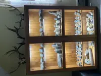 F0875E2D-4808-4FCF-A38D-33EFAA63C1EF.webp