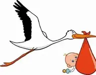 stork.webp
