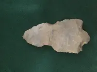 image.webp