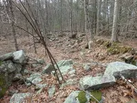 P1070061.webp