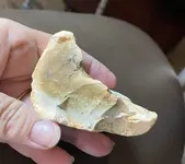 chert2425.webp