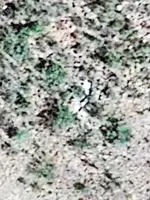 White Cross.webp