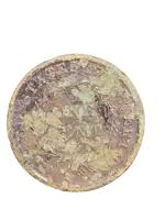 20210227_082512-removebg-preview.webp