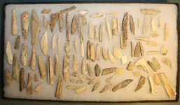 Frame J bone tool b.webp