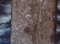 cross 1 1751 date.webp