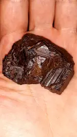 20201218_081248.webp