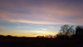 20210120_170532.webp 20210120_170532.webp