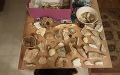 20201229_182908.webp
