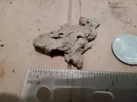20210111_193133.webp