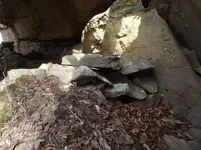 DSCF0692.webp